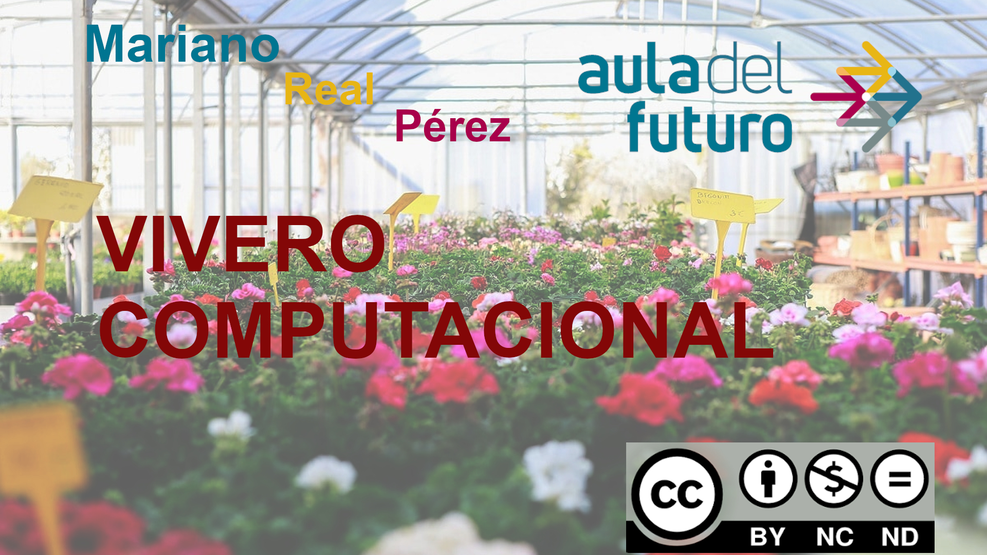 Vivero computacional